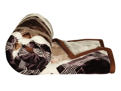 Amazon Brand – Solimo Blue Ceramic Non Stick Induction Base Deep Kadai 24Cm with Glass Lid